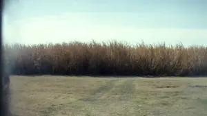 Задник до фильму"Вулиця Монстро, 10" #248419