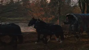 Задник до фильму"Граф Дракула: Історія кохання" #510070