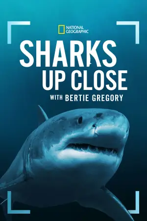 Постер до фильму"Sharks Up Close with Bertie Gregory" #793034