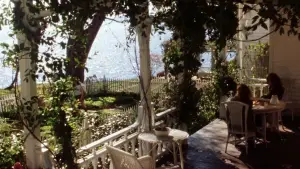 Задник до фильму"Практична магія" #697218