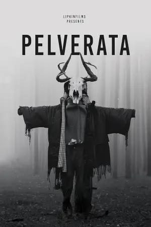 Постер до фильму"Pelverata" #936596
