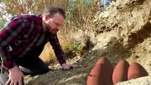 Задник до фильму"" #612182