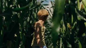 Задник до фильму"Я бачу, Я бачу" #269387