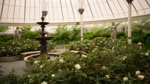 Задник до фильму"Голоднi iгри: Переспiвниця. Частина 2" #634243