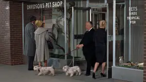 Задник до фильму"Птахи" #677210