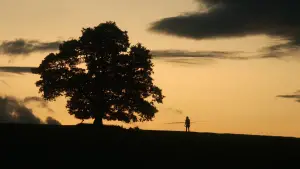 Задник до фильму"" #520764