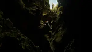 Задник до фильму"Верхівковий хижак" #774495