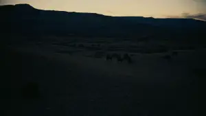 Задник до фильму"Оппенгеймер" #556056