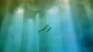 Задник до фильму"Старий і море" #400220