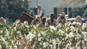 Задник до фильму"12 років рабства" #751763