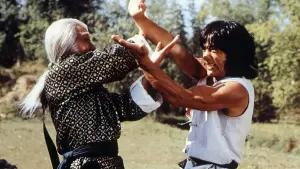 Задник до фильму"Безстрашна Гієна" #382330