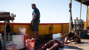 Задник до фильму"Небезпечна тварина" #552637