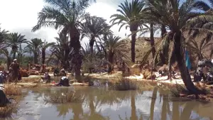 Задник до фильму"Лоуренс Аравійський" #751389