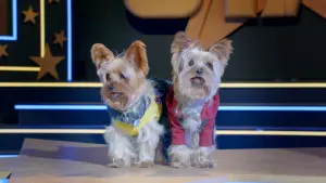 Задник до фильму"" #406174