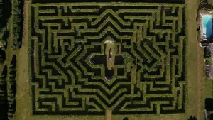 Задник до фильму"Солтберн" #748605