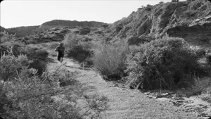 Задник до фильму"" #541465