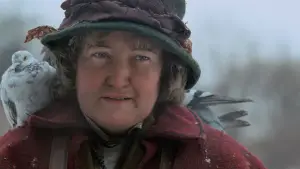 Задник до фильму"Сам удома 2: Загублений у Нью-Йорку" #567471