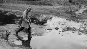 Задник до фильму"" #537705