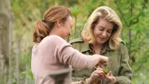 Задник до фильму"Поцілунок Беатріс" #481311