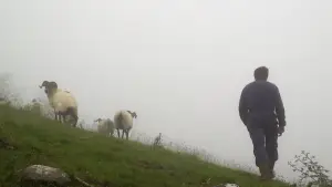 Задник до фильму"Non dago Mikel?" #934965