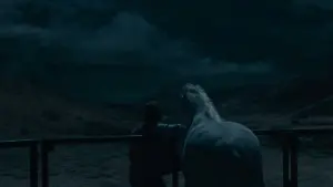 Задник до фильму"НОУ" #255678