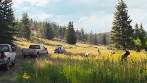 Задник до фильму"Відновлення" #527805