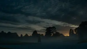 Задник до фильму"" #520273