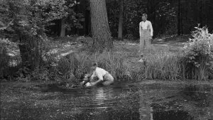 Задник до фильму"Біла стрічка" #211444