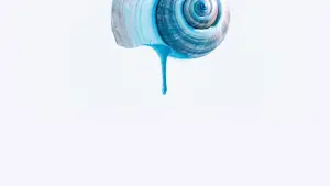 Задник до фильму"Блакитна стежка" #523020