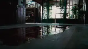 Задник до фильму"Історія двох сестер" #810995