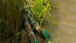 Задник до фильму"" #496896