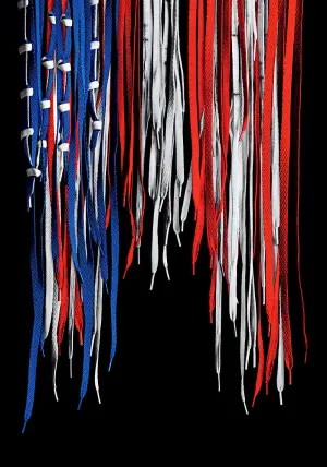 Постер до фильму"День патріота" #243318