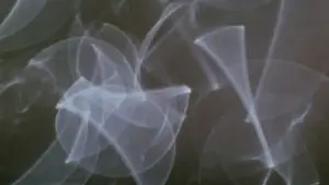 Задник до фильму"Змішані контейнери" #706789