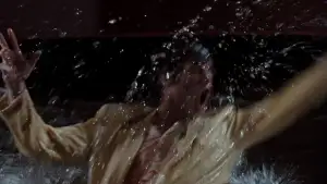 Задник до фильму"Ейс Вентура: Детектив з розшуку домашніх тварин" #804830