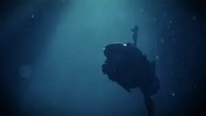 Задник до фильму"" #679621