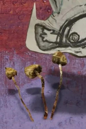 Постер до фильму"" #491031