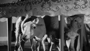 Задник до фильму"Ангел-винищувач" #751865