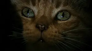 Задник до фильму"Чужий" #798623