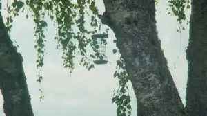 Задник до фильму"" #563285