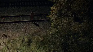 Задник до фильму"Воно" #278710