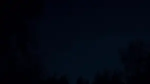 Задник до фильму"Перша корова" #932202