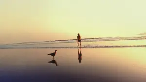 Задник до фильму"Американська історія Х" #614465