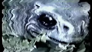 Задник до фильму"" #706857