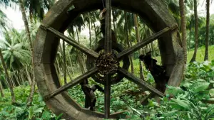 Задник до фильму"Пірати Карибського моря: Скриня мерця" #564250