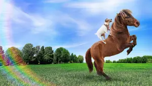 Задник до фильму"Пригоди Доллі та Спанкі" #798943