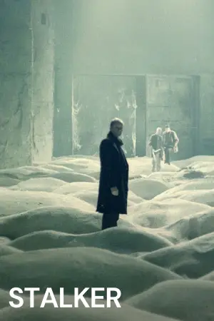 Постер до фильму"Сталкер" #734138