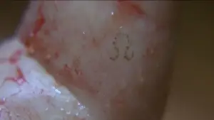 Задник до фильму"Кiнець свiту" #699164