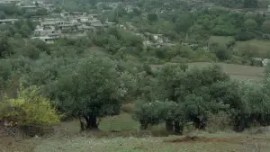 Задник до фильму"خانه‌ی دوست کجاست؟" #752475