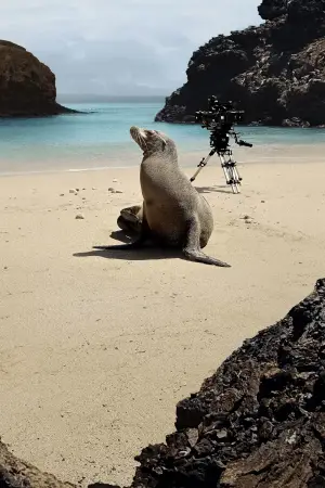 Постер до фильму"" #720087