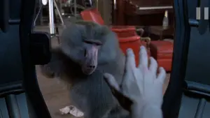 Задник до фильму"Муха" #788742